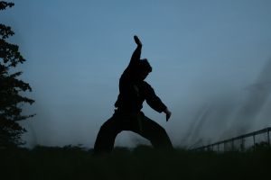 Dark Figure Performing Martial Arts