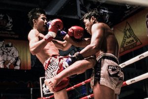Muay Thai Fight